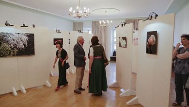 Fotoausstellung Flowers Zen
