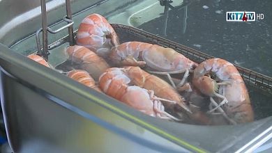 Franzoesischer Fischmarkt 2015