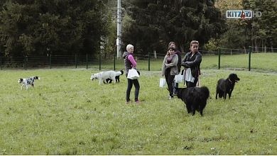 Eröffnung Hundewiese