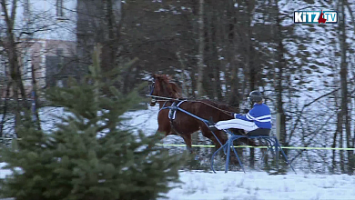 Jahresrückblick 2014 Jänner