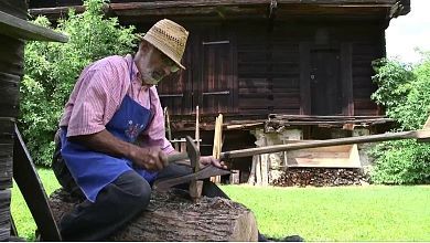 Bauernhaus Museumshoangascht